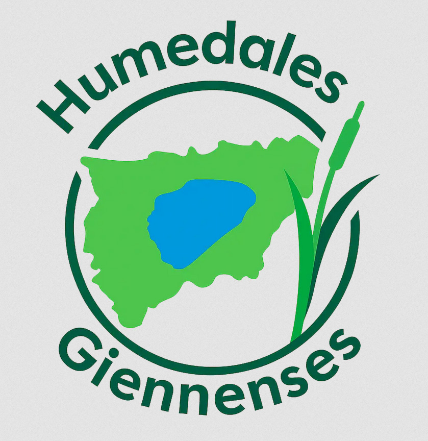 Logotipo del grupo local SEO BirdLife Gypaetus Jaén. Incluye la silueta estilizada de un ave blanca con un ala azul y el pecho verde, enmarcada por un círculo bicolor. Debajo, el texto "SEO BirdLife" en letras grises y, en la parte inferior, "GRUPO LOCAL GYPAETUS JAÉN", con el nombre del grupo destacado en azul.